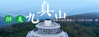 日逼流白浆区