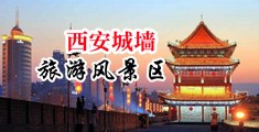 想看大鸡巴肏屄视频中国陕西-西安城墙旅游风景区